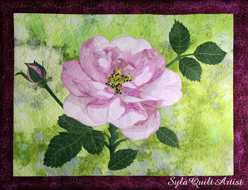 Rosa