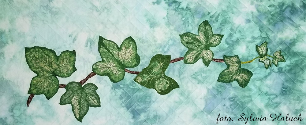 Bluszcz i hydrofolia